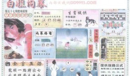 白小姐玄机爆料视频,视频爆料背后的神秘力量